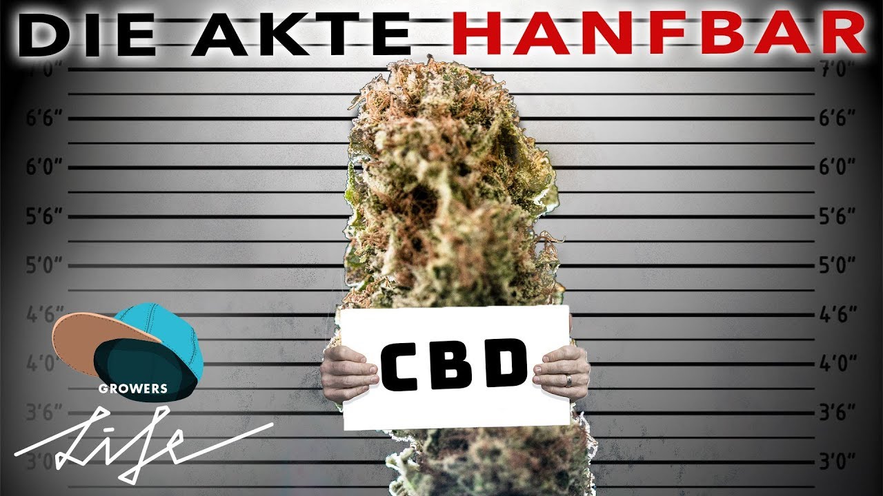 Wegen CBD-Tee im Knast?