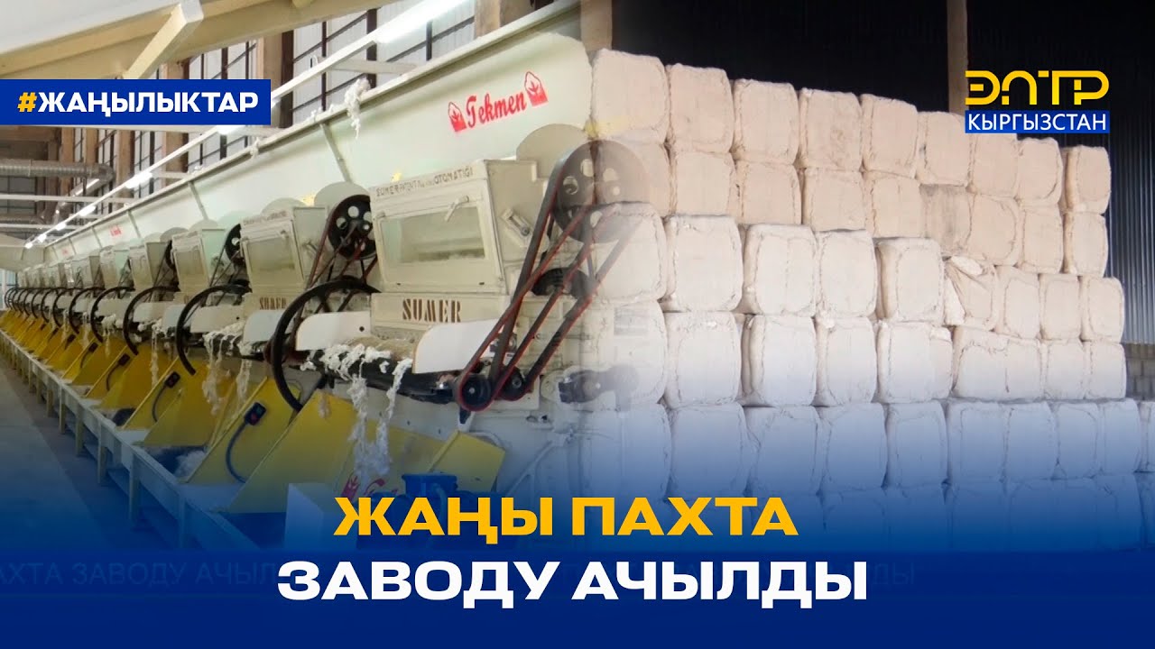 ЖАҢЫ ПАХТА ЗАВОДУ АЧЫЛДЫ