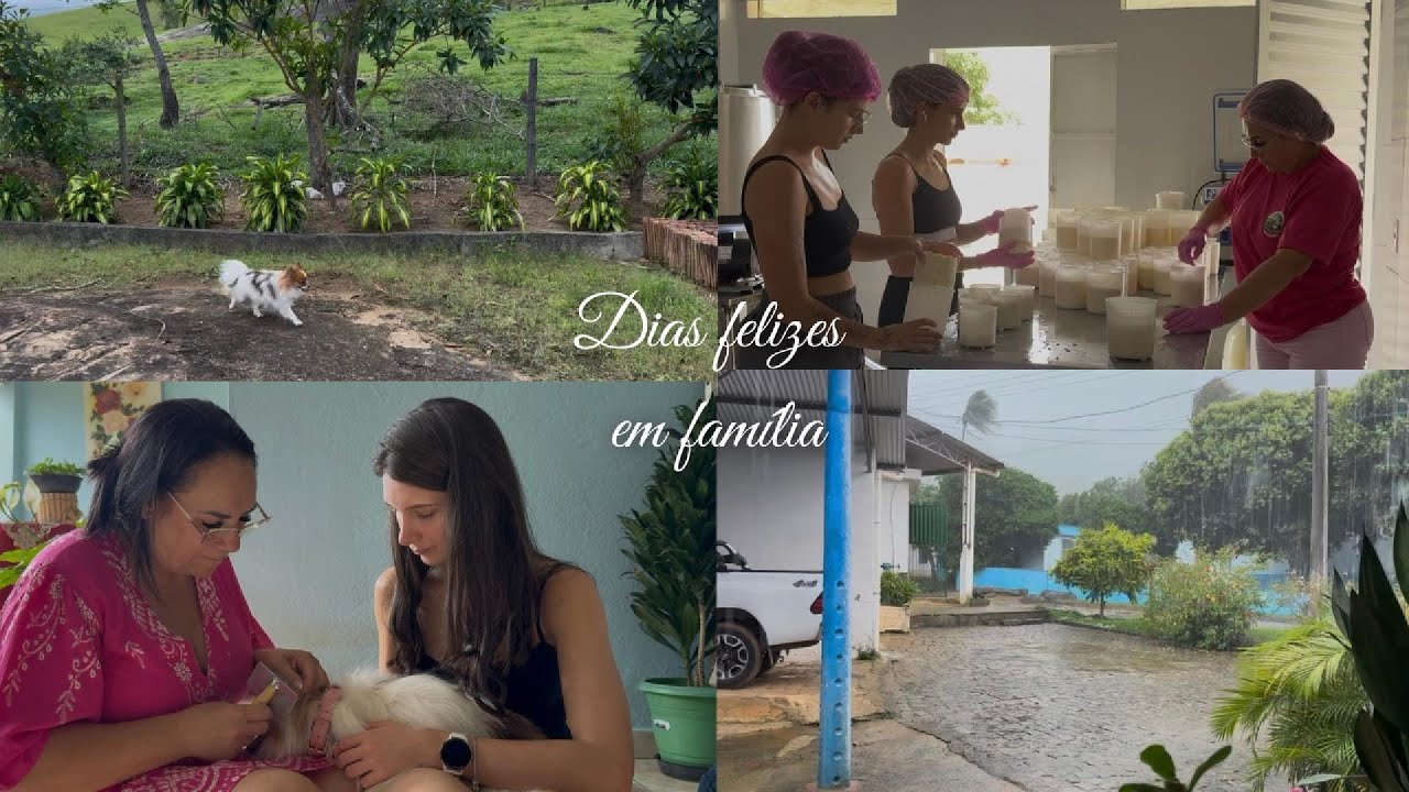 VLOG: dias felizes longe da rotina