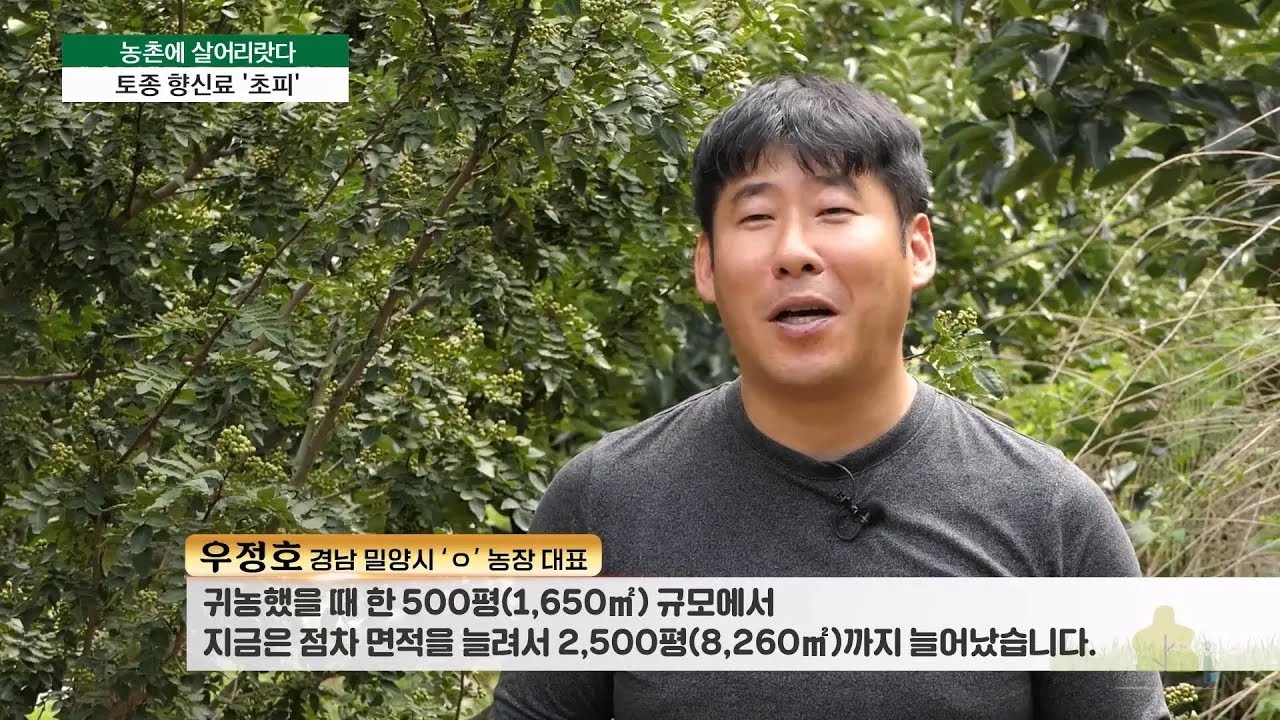 [농촌에 살어리랏다] 경쟁력 높은 국산 초피 ‘경남 밀양시 우정호씨’