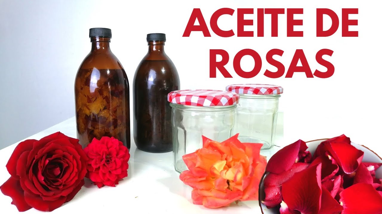 aceite de rosas como hacerlo  CHUYITO JARDINERO