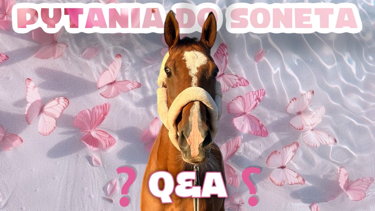 Q&A ‼️ SONET ODPOWIADA NA WASZE PYTANIA 🙋🏽‍♀️