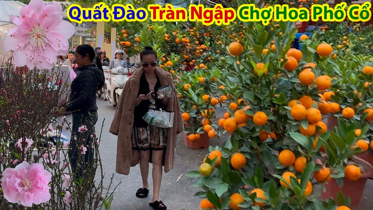 Không Khí Tết Nhộn Nhịp Chưa Từng Thấy Chợ Hoa Tết Truyền Thống Phố Cổ Hà Nội