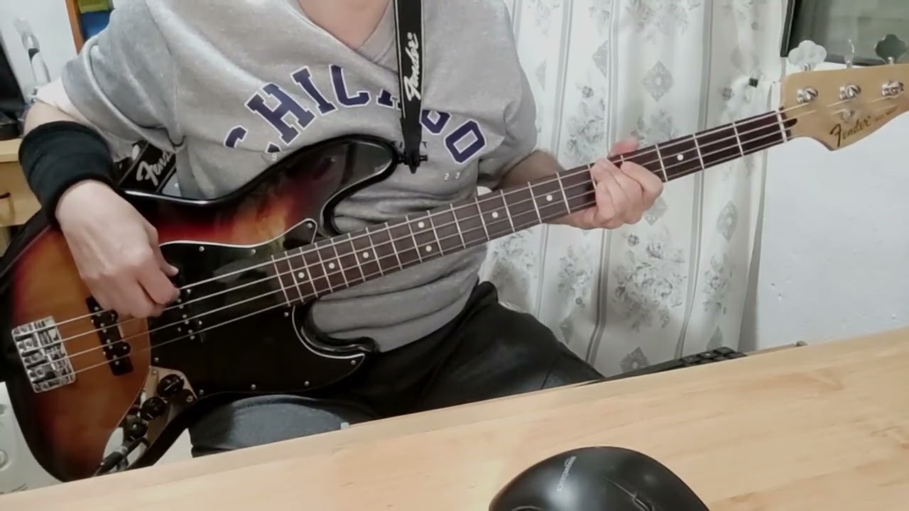 Bass cover 