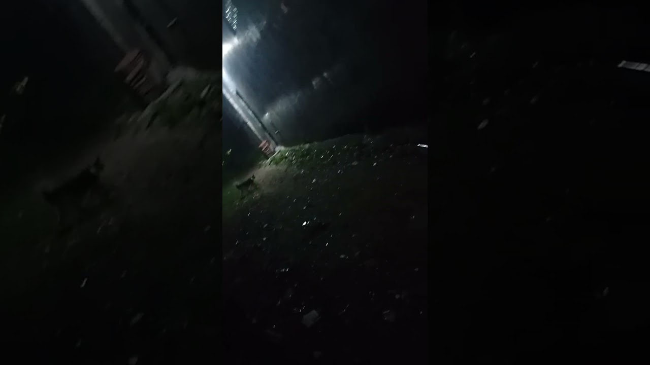 Vidioin tengah malam malam Kawan Kawan