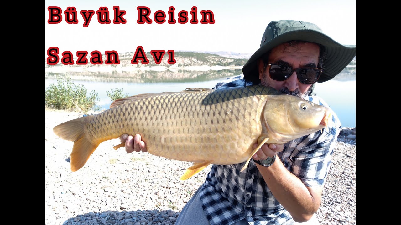 Altınapa Barajında Dev Sazan Avı #sazanavı #sazanküspesi #sazanrig