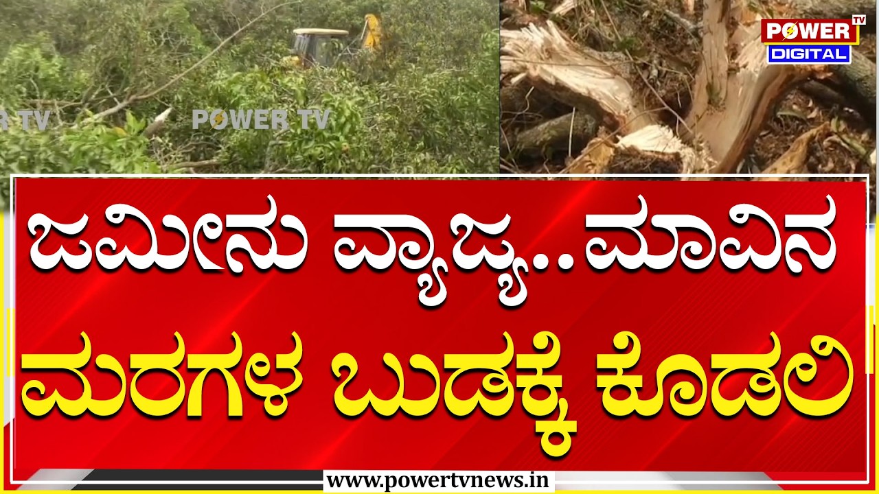 Ramanagara : ಜಮೀನು ವ್ಯಾಜ್ಯ.. ಮಾವಿನ ಮರಗಳ ಬುಡಕ್ಕೆ ಕೊಡಲಿ | Power Tv