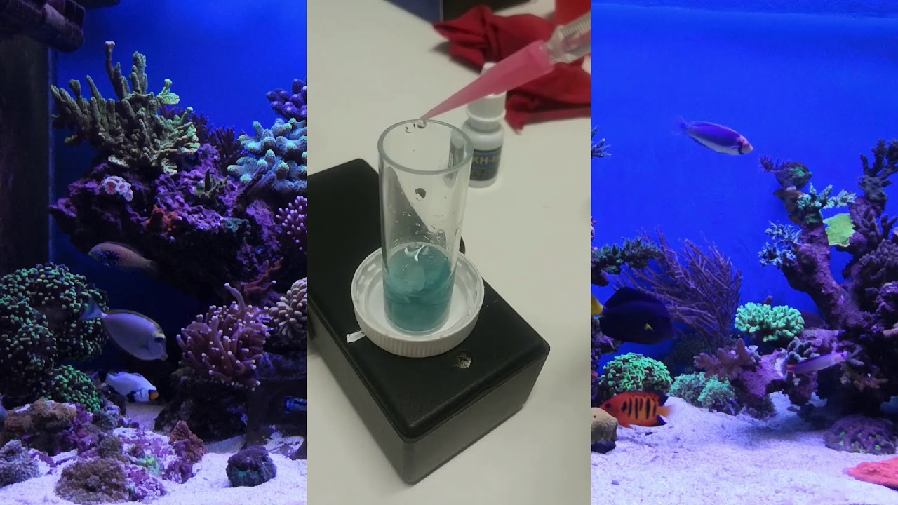 Brico Agitador Magnetico Casero - Lui Reef