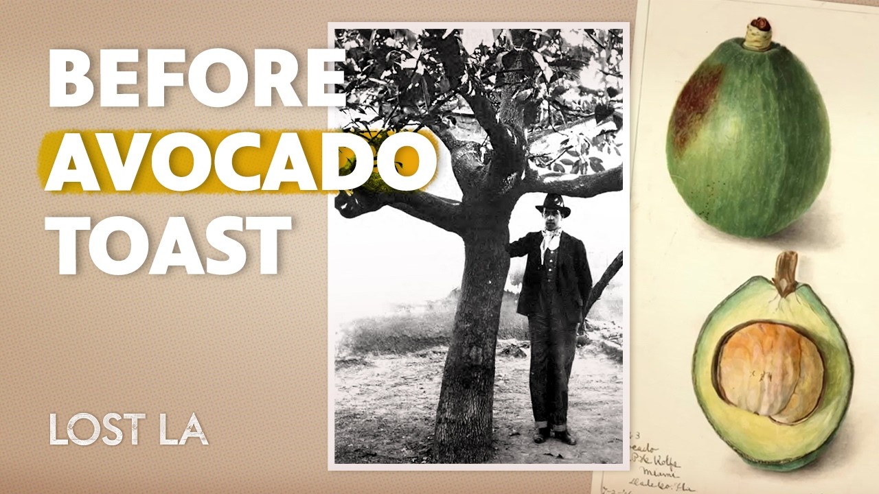 How One CA Tree Launched a Global Avocado Industry | Lost LA