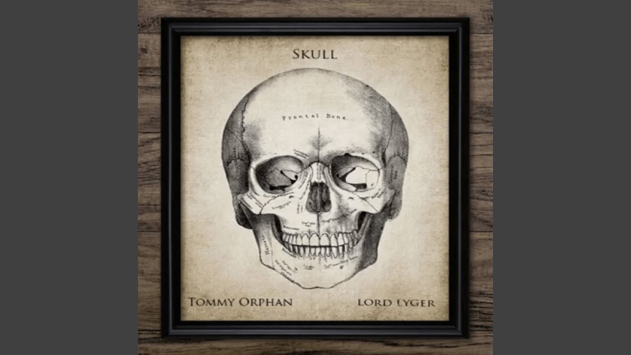 Skull
