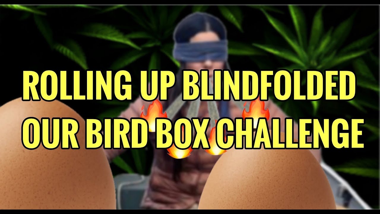 4K ROLLING UP BLINDFOLDED ( BIRD BOX CHALLENGE )