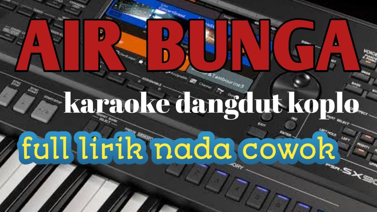 AIR BUNGA - karaoke dangdut koplo nada pria lengkap dengan lirik lagu audio cek sound
