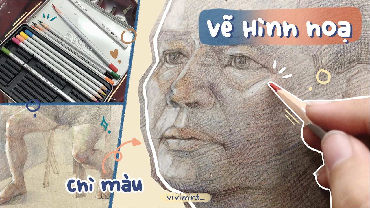 Quá trình vẽ bài hình hoạ chì màu || vivi mint