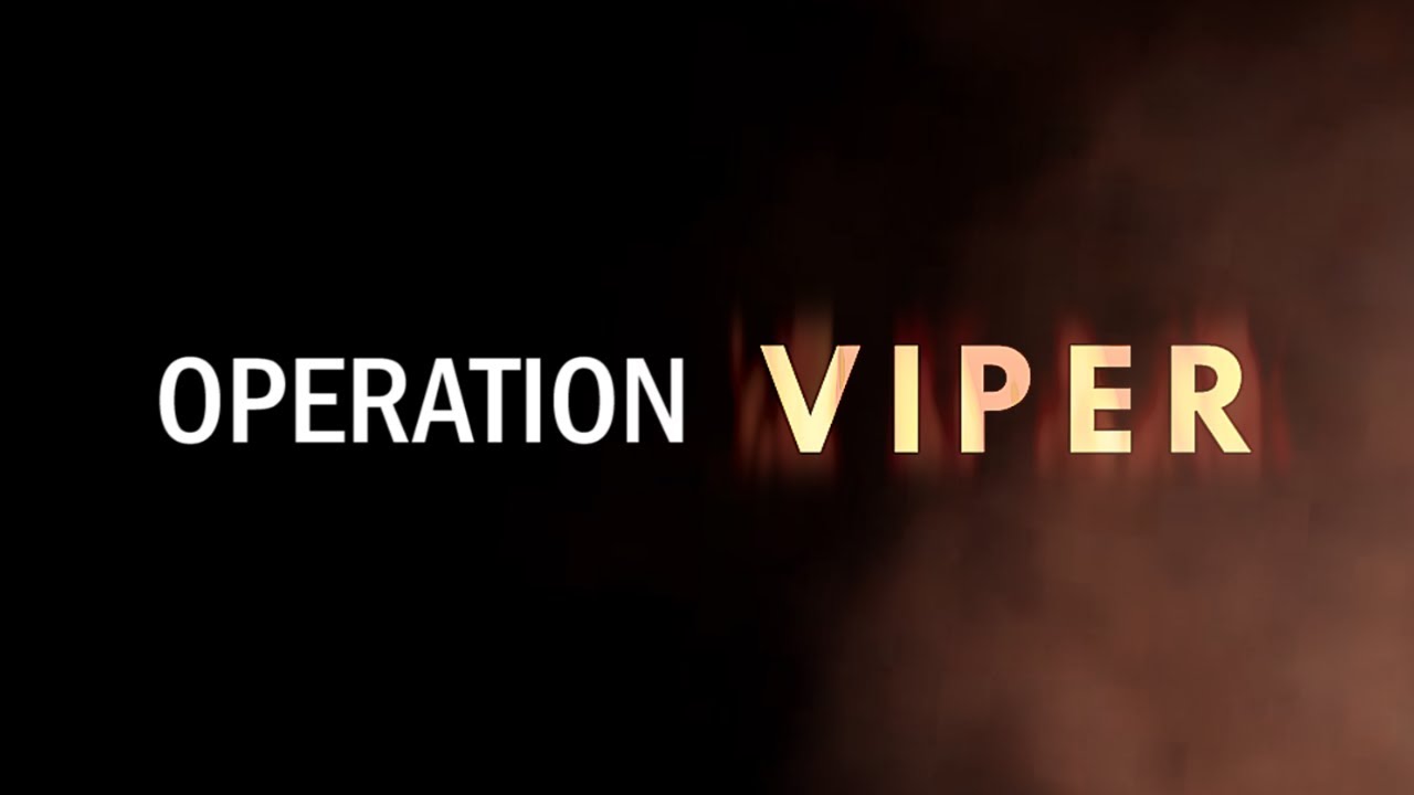 Blackhawk Rescue Mission 5 Operation Viper Reveal