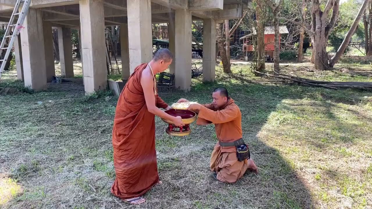 ประดับอุณาโลม ตัวนะ หลวงตาม้า พระมหาจักรพรรดิวิริยธโร รวมกำลังแผ่นดิน หน้าตัก ๑๐ เมตร