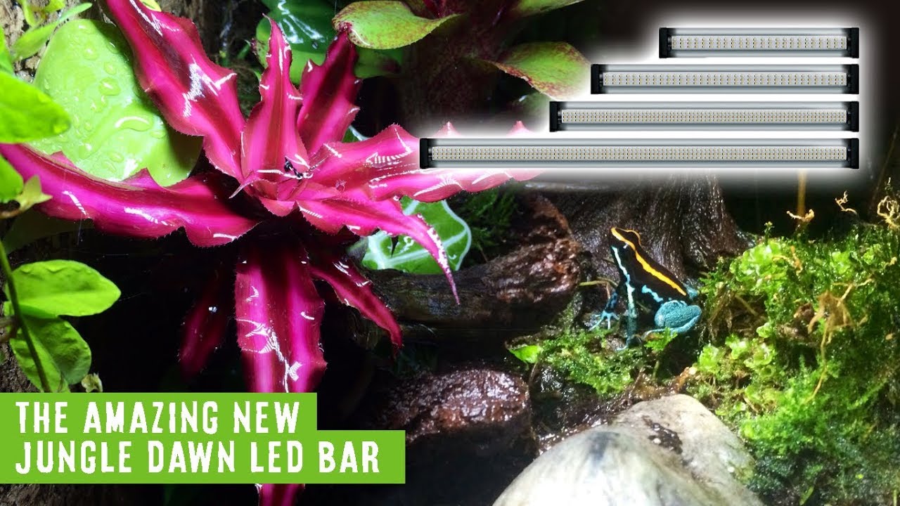 NEW! Arcadia Reptile JungleDawn-LED Bar. The Most Powerful Plant Growth Flood LED