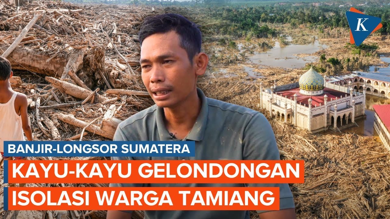 Warga Aceh Tamiang Dikepung Kayu Gelondongan dari Banjir Sumatera