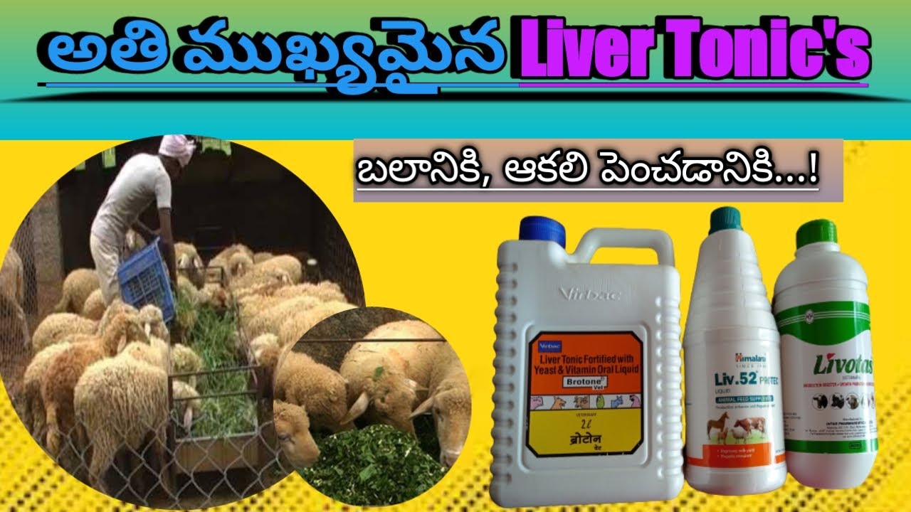 Liver tonics || ఆకలి పెంచడం కోసం by veterinary telugu #veterinarytelugu  #veterinarymedicine
