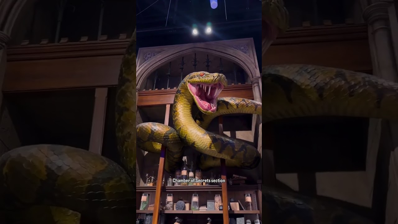 Tour of the LARGEST Harry Potter Store in the WORLD in Tokyo, JAPAN!