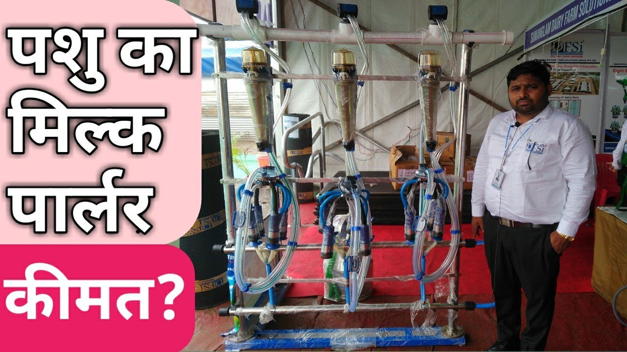 दूध निकालने का ओटोमेटिक मिल्क पार्लर  ।  Set up a milk parlor