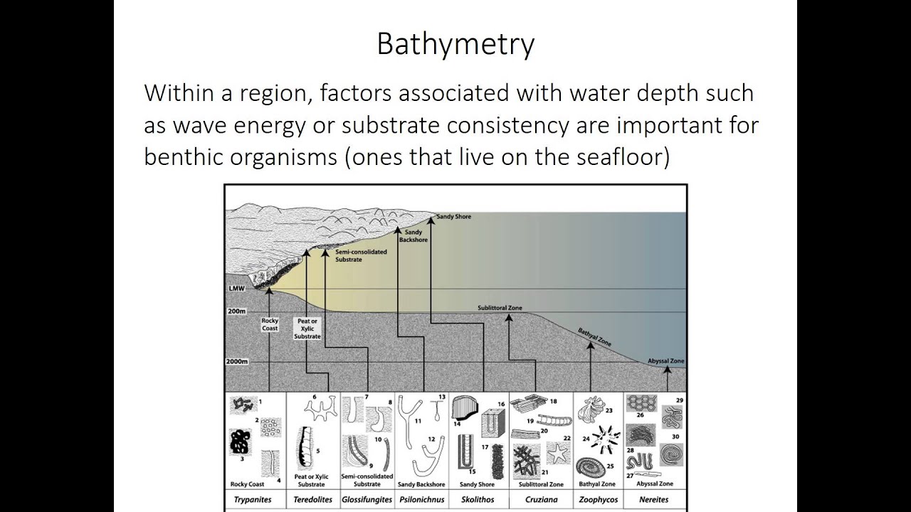 Environmental preferences of marine organisms