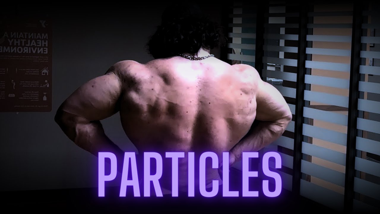 Particles Gym Motivation | Sam Sulek
