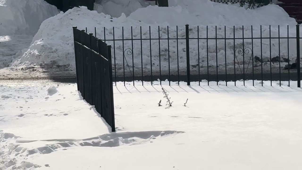 عاصفة  ثلجية 🌨️ February 23, 2026 snow storm 🌨️ 