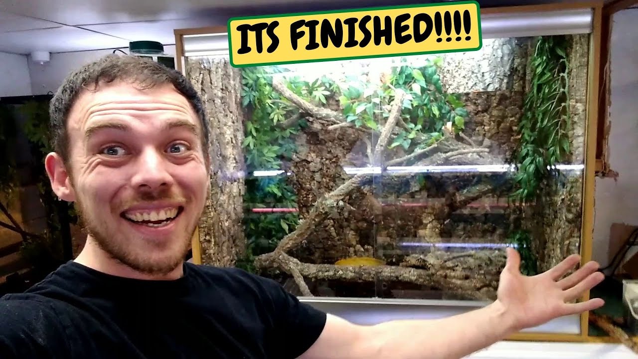 CUSTOM Black Spiny Tail Iguana Zoo Habitat Build Finished, Best Ive Ever Made (Snake Island Exotics)