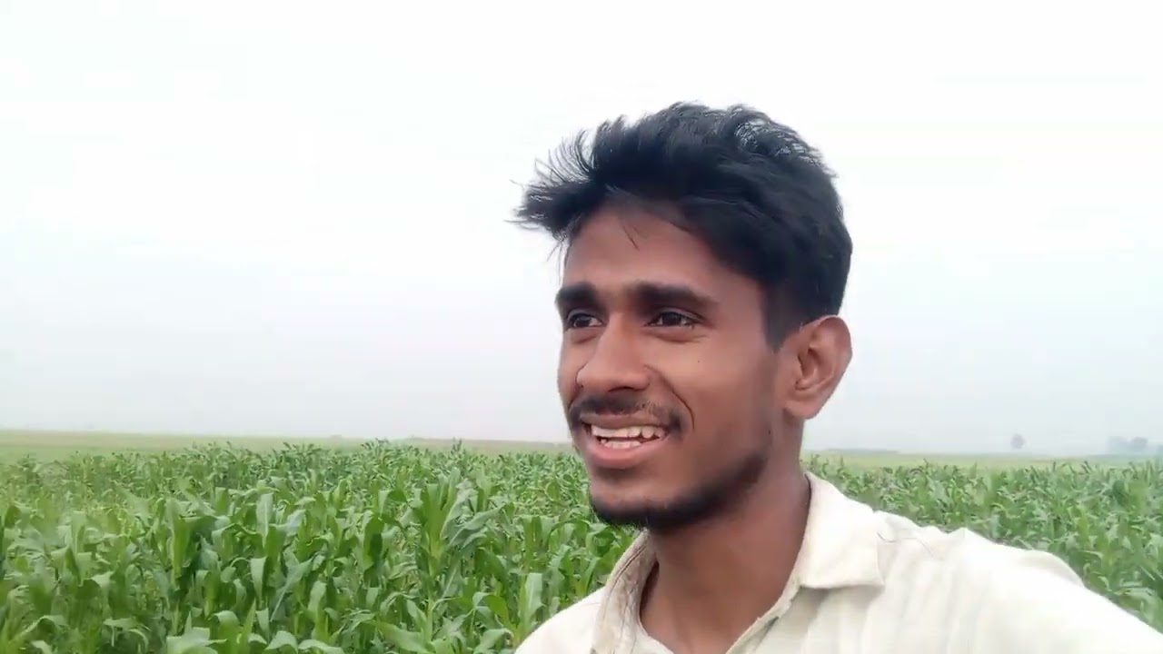 শরীর মন কোনটাই ভালো নেই।