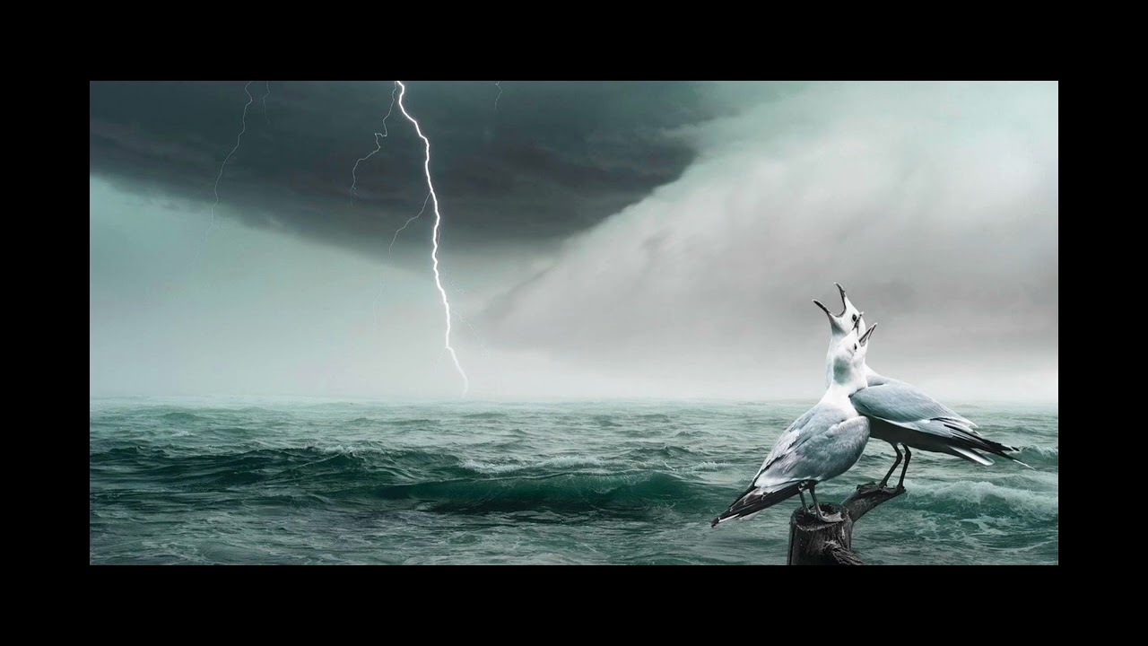 NORBY - STORM
