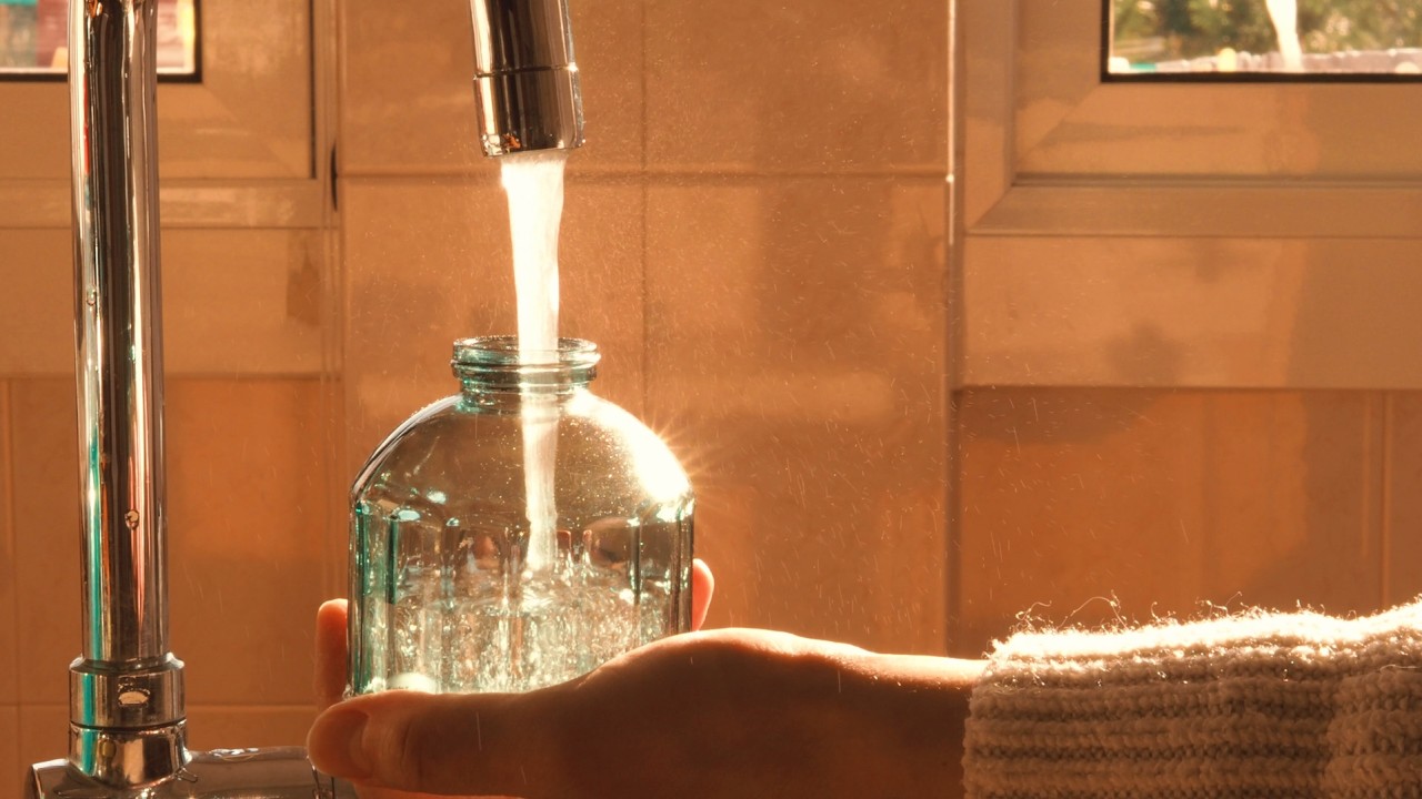 Утренний лес под зимним солнцем / Переделка холодильника / Жизнь у подножия гор