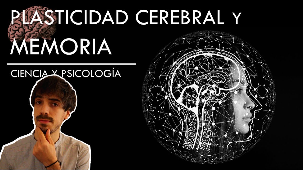 Plasticidad Cerebral y Memoria | Ciencia y Psicología