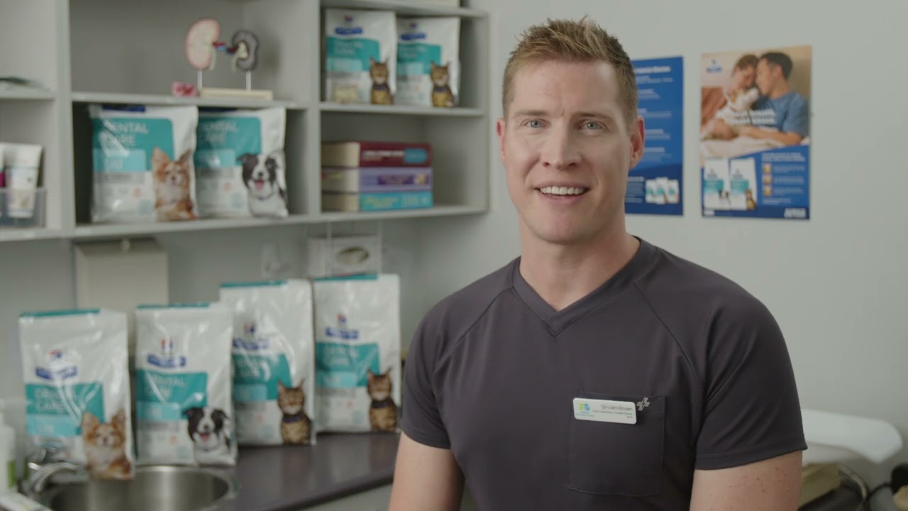 Dental myth busters: get the facts on pet oral health