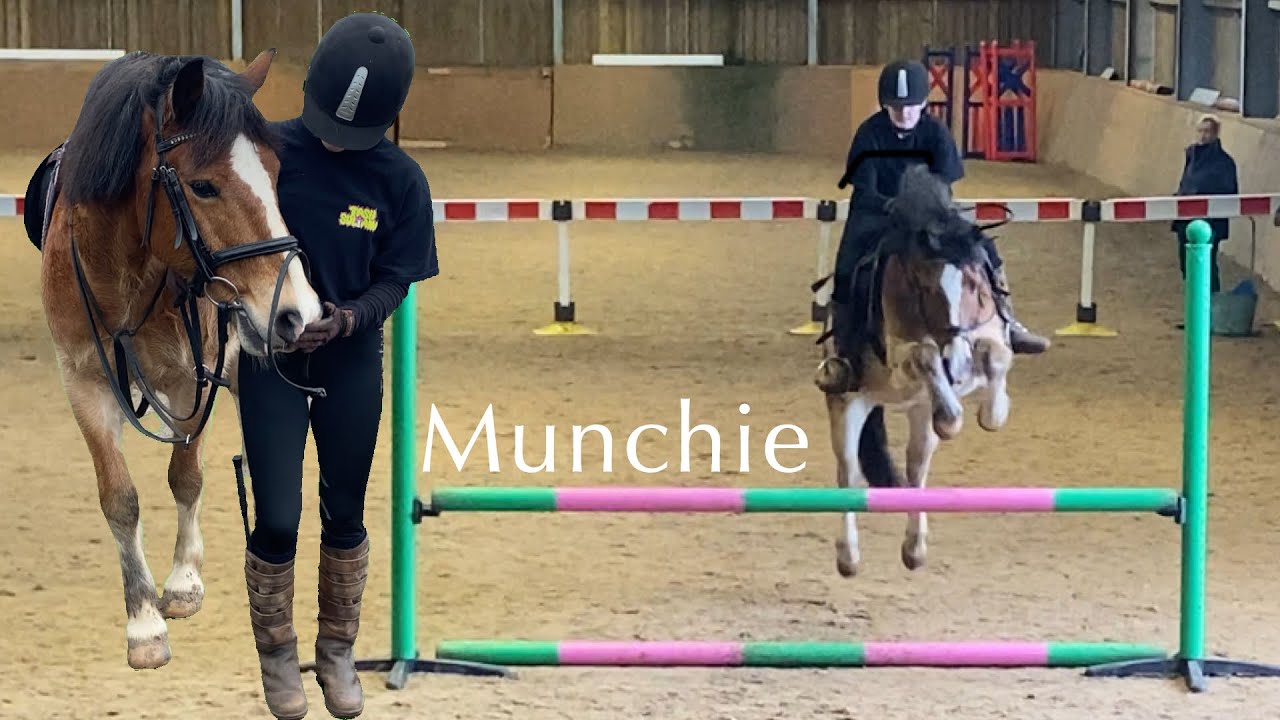 Big Jumps On Munchie | Moor Farm Stables