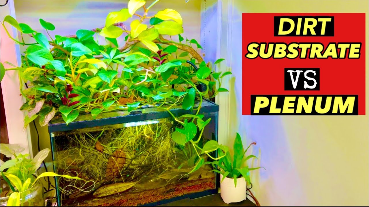 🌿Грунтовой субстрат против пленумного аквариума🐟 2 разных аквариума — какой из них лучше?