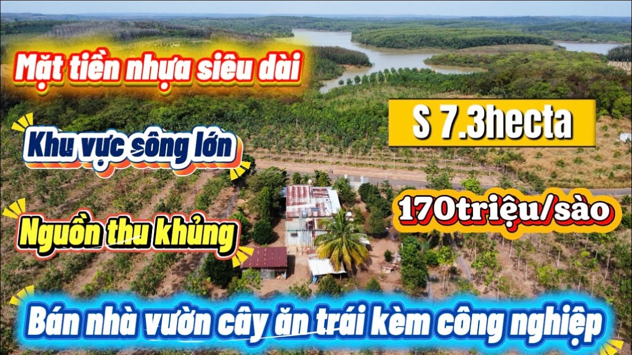 ngày 11 tháng 1, 2026