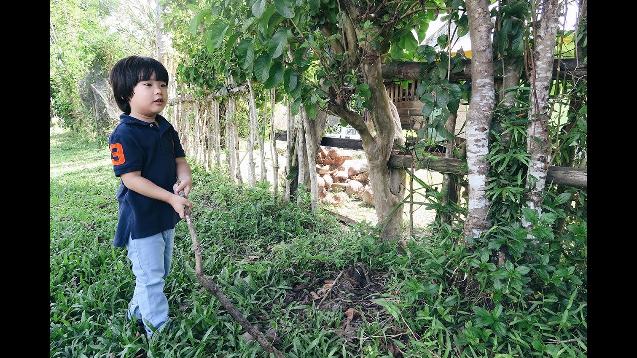Lebaran in Kendari | TigerMomKittenDaddy