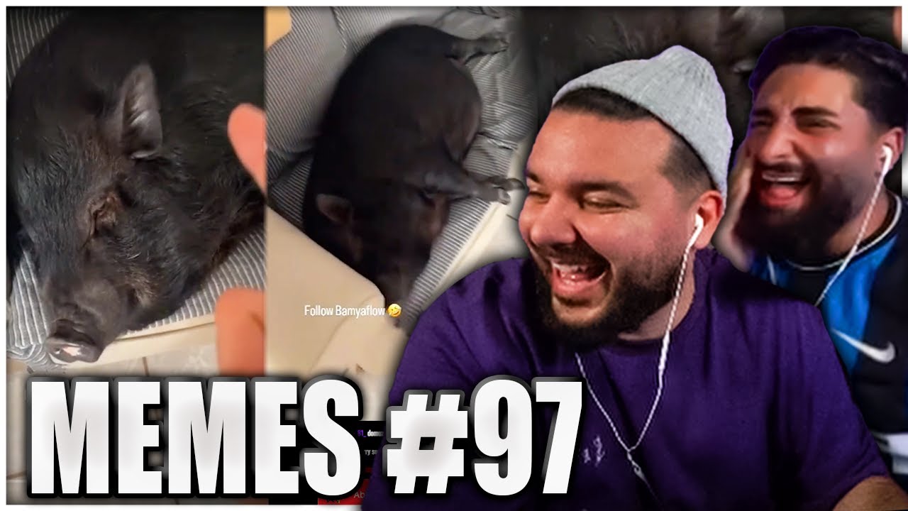 Was macht ein Schwein hier? 😂 Lachkick Folge EHRENLOSE MEMES #97