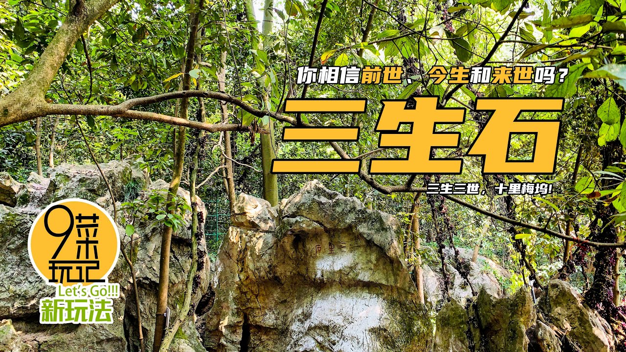 杭州·三生石 | 西湖边有块三生石，记录了你的三生三世，真心不好找，一起看看吧 | 九菜玩记（20200425）the Stone by the West Lake has such a legend