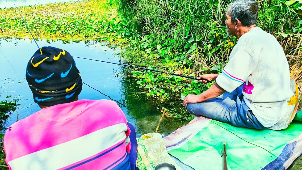 নদীর থেকে প্রচুর পরিমাণ মাছ ধরা দেখুন#fishing নবদ্বীপ নদীয়া#fishing 