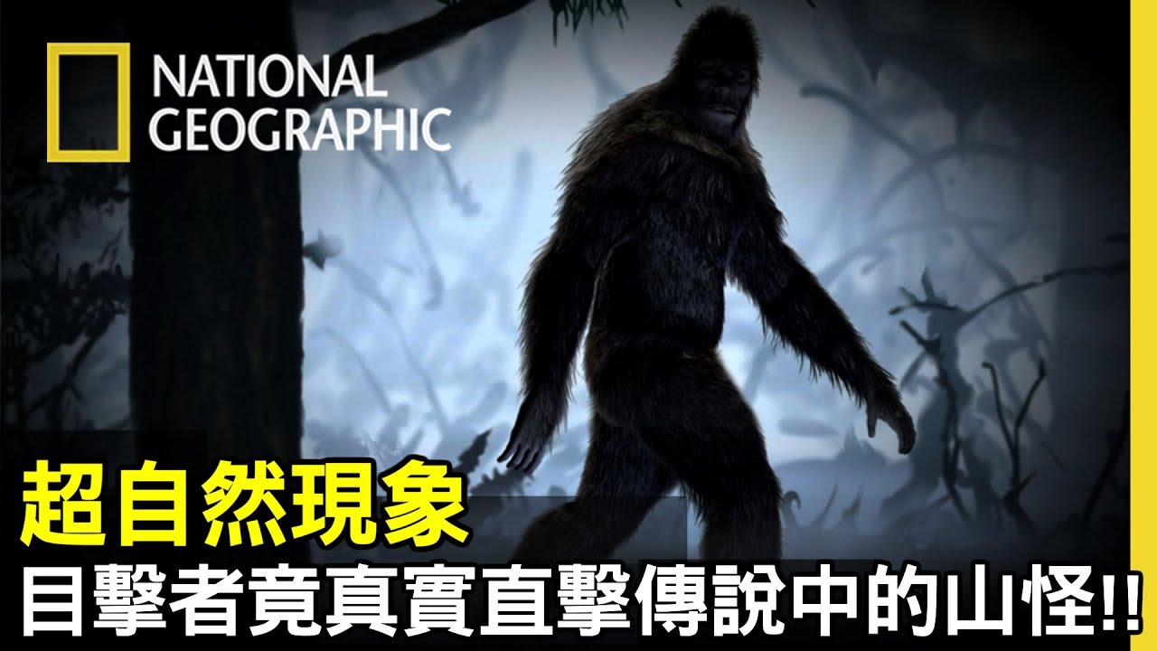 鬼月鉅獻👻世界各地都有人紀錄看過奇怪的生物💥本篇直擊目擊者遇見大腳怪的現象!! 你有看過嗎!? 留言👇跟我們分享【超自然現象】