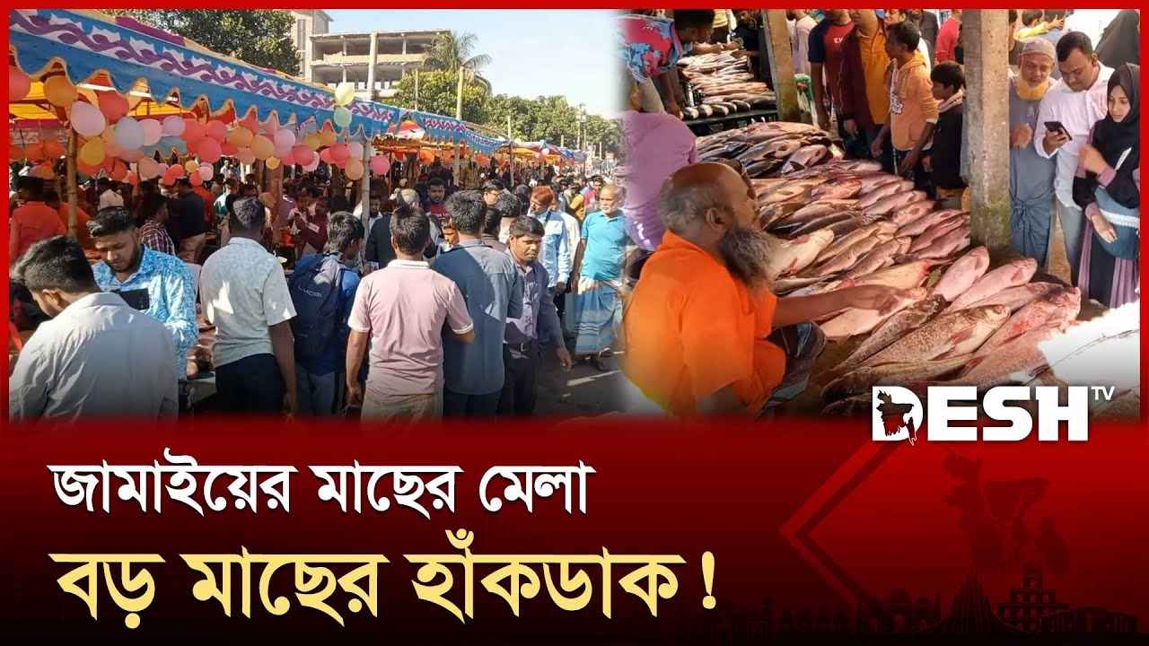 জমে উঠেছে ঐতিহ্যবাহী জামাইদের মাছের মেলা! | Joypurhat Mela | Desh TV