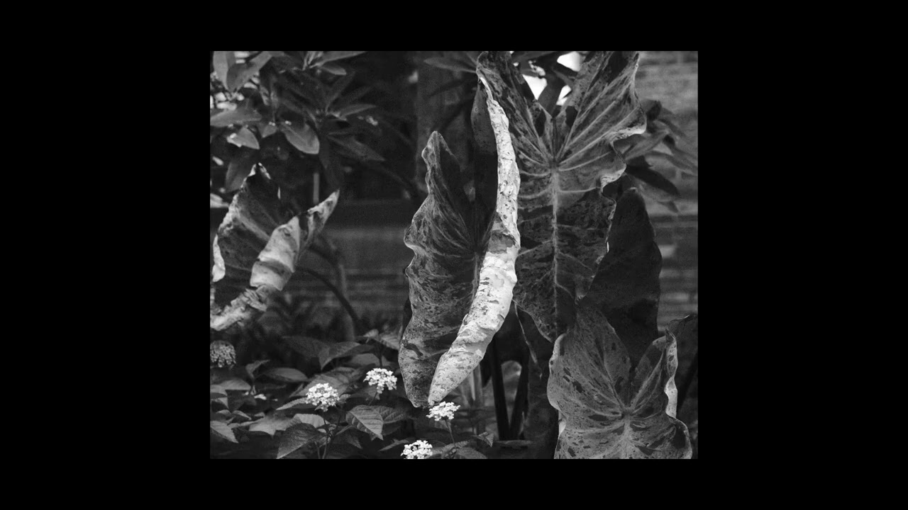 (21 Min) Grim Electric Ambient