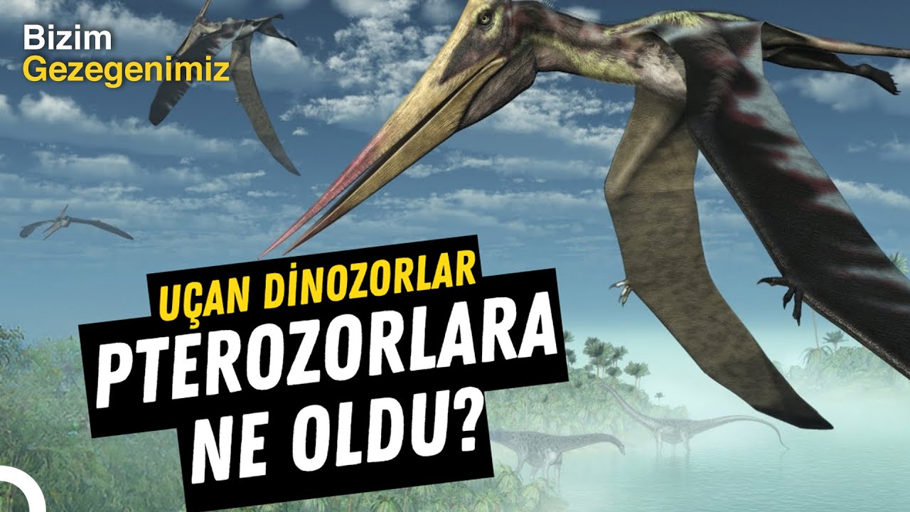 Pterozorların Sonu: Dünyayı Değiştiren Felaket! | Türkçe Dublaj Belgesel