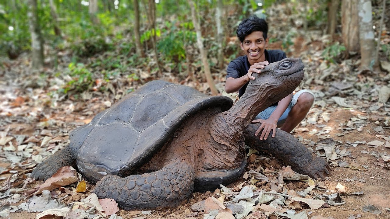 Got the biggest turtle | World biggest tortoise 🐢 |ഏറ്റവും വലിയ ആമയെ കിട്ടി
