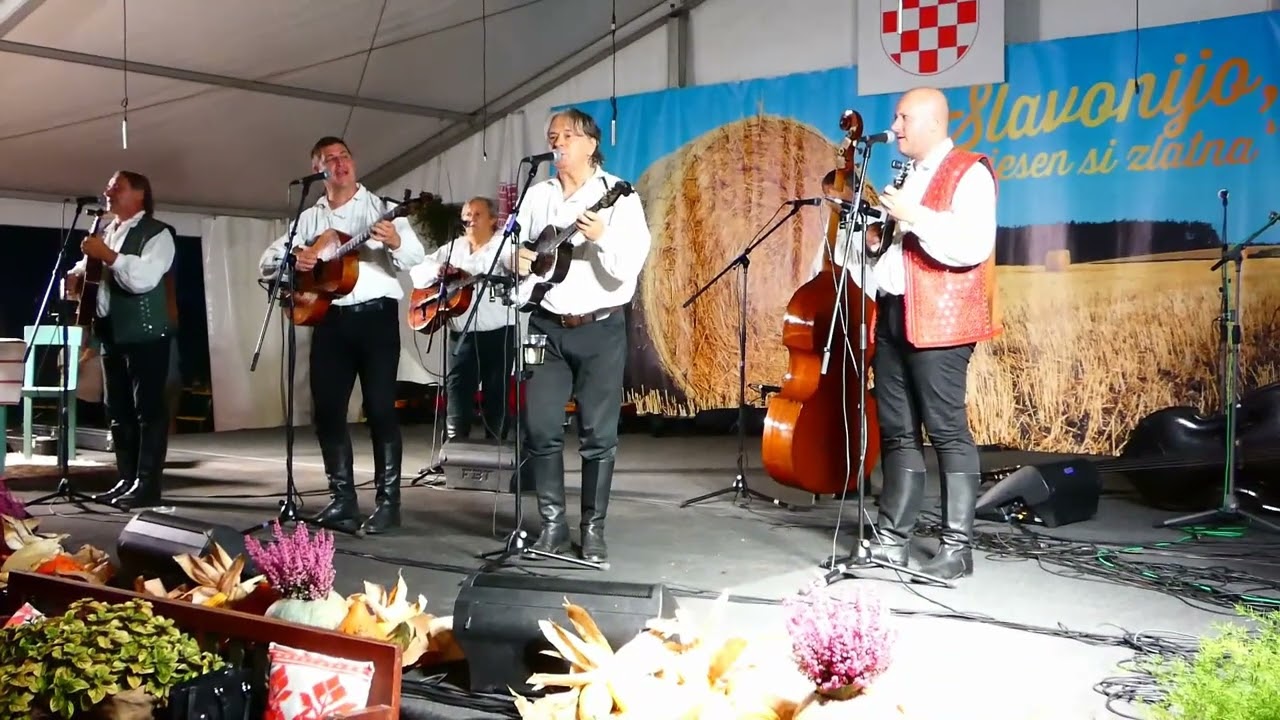 Divne godine, Najbolji hrvatski tamburaši.
