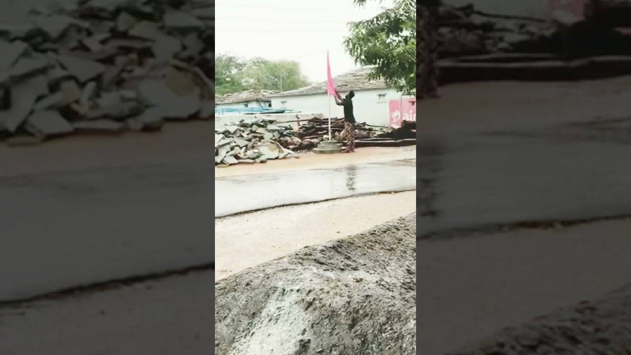 TRS PARTY FLYING FLAG