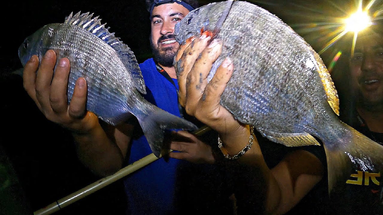 SEGUIMOS, CAPTURAS DE BUEN PORTE, ENPEZAR FRENETICO... SURFCASTING GRANADA