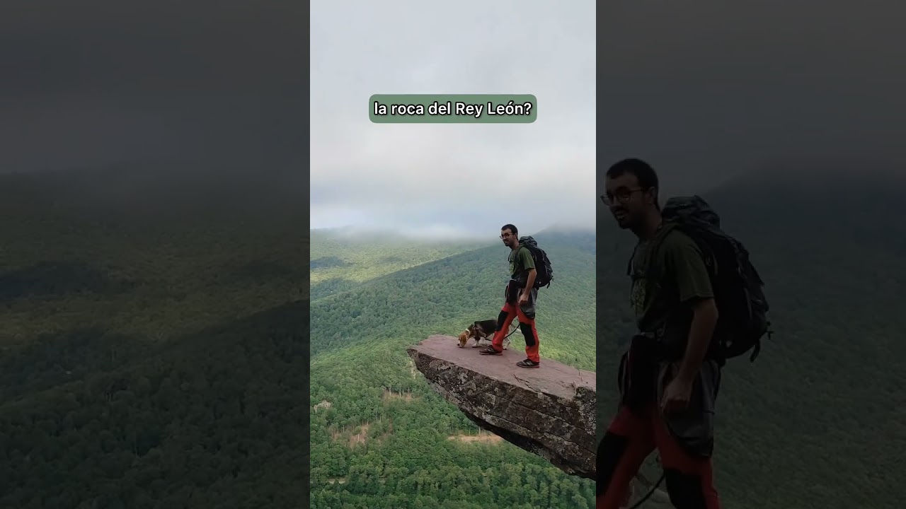 Roca del REY LE&Oacute;N en NAVARRA #shorts