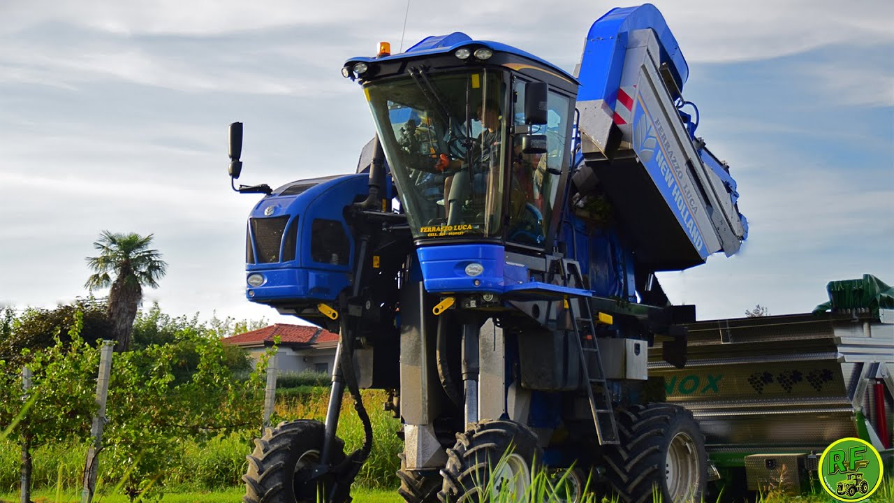 |New Holland Braud 9080L| Vendemmia Pinot Grigio| Ferrazzo Luca|